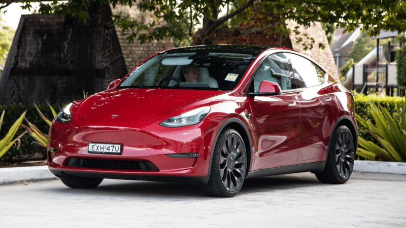 Tesla Model Y Shipment Delayed as Stink Bugs Infest Cargo Ship